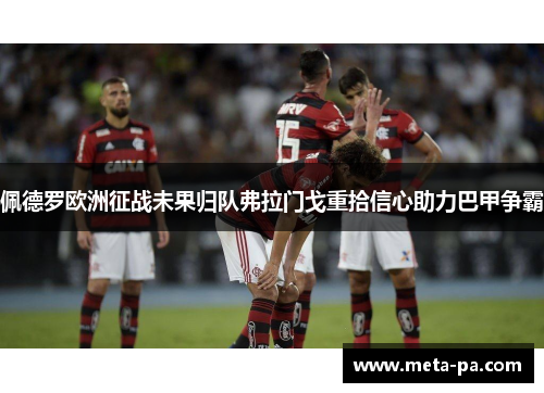 佩德罗欧洲征战未果归队弗拉门戈重拾信心助力巴甲争霸