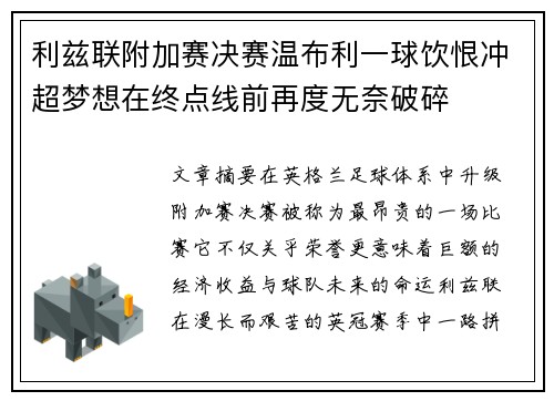 利兹联附加赛决赛温布利一球饮恨冲超梦想在终点线前再度无奈破碎